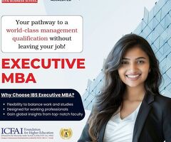 Executive MBA Options for Busy Professionals