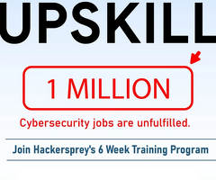 6 Weeks Cybersecurity Online Training Program by Hackersprey
