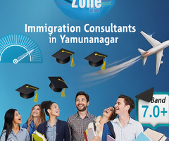 Where to Find Expert Immigration Consultants in Yamunanagar?