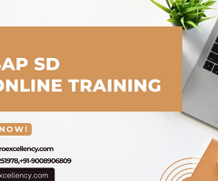 SAP SD Implementation & Support Online Course