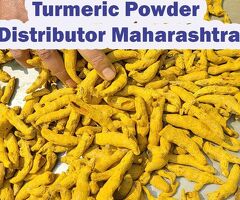 Turmeric Powder Bulk Supplier from India