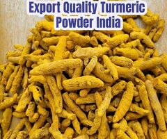 Turmeric Powder Bulk Supplier from India - 2