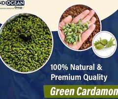 Green Cardamom Wholesale Exporter India