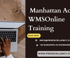 Manhattan Active WMS Course Online: Master Warehouse Management Systems