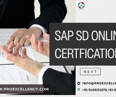 Learn SAP SD Online in Hyderabad – Beginner to Advanced Course