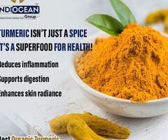 Buy turmeric in bulk in Navi Mumbai