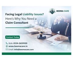 Facing Legal Liability Issues? Here’s Why You Need a Claim Consultant