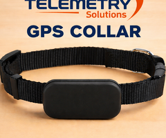 How Does a GPS Collar Help in Animal Tracking?