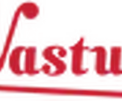 Turn Your Home into a Wealth Magnet with Powerful Vastu Yantra & Energy Tools