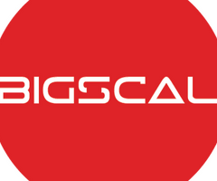 Bigscal The Ultimate Software Development Company
