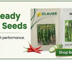 Buy Seeds, Fertilizers & Pesticides Online in India – Trusted Platform for Farmers