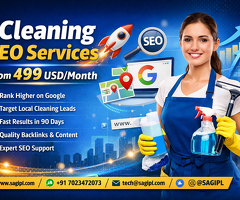 Cleaning SEO Services from 499 USD/Month