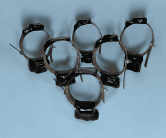How Does Telemetry Solutions Wildlife Tracking GPS Improve Research? - 2