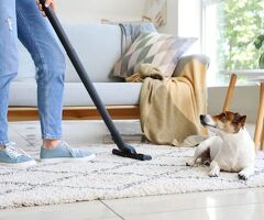 Simply Clean Carpet Care