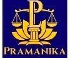 Commercial Litigation Lawyer Delhi | Pramanika Legal