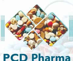 Pharma Franchise - 2