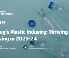 Turkey's Plastic Industry: Thriving and Evolving in 2023-24