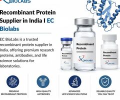 Recombinant Protein Supplier in India | EC BioLabs