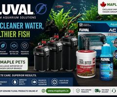 Explore Advanced Aquarium Products from Fluval
