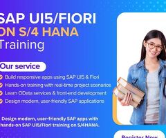 SAP UI5/FIORI Training Institute in Hyderabad