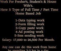 Full Time / Part Time Home Based Data Entry Jobs