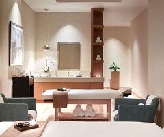 Professional VIP Spa
