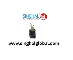 Reliable Containers for Healthy Plant Growth