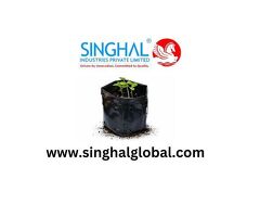 Eco-Friendly Plant Propagation Method