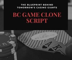 The Strategy Powering High-Revenue With  BC Game Clone Script