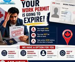 Visa Consultants in Yamunanagar for Smooth Visa Processing