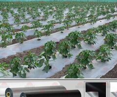 Protect Valuable Crops With Heavy Duty Mulch Film
