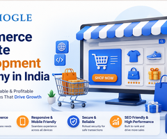 Ecommerce Website Development Company in India | Visiogle