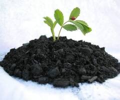Biochar Production Plant Manufacturer & Biomass Pyrolysis Solutions