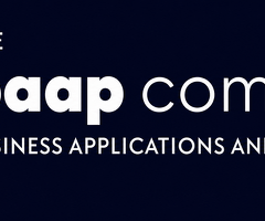 Data Intelligence Company in USA | The Baap Company