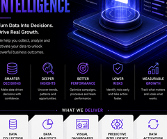 Data Intelligence Company in USA | The Baap Company - 2
