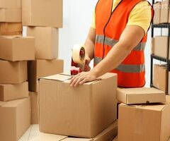 Fedex Gurgaon
