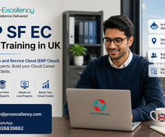 How SAP SF EC Online Training in London Can Boost Your Salary