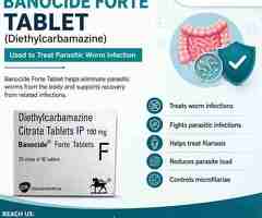 Banocide Forte Tablet (Diethylcarbamazine) | Uses & Precautions