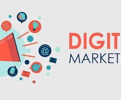 Best Digital Marketing Course in Noida