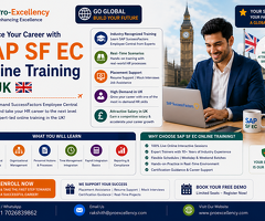 Can Freshers Learn SAP SF EC? Start Your Career with Online Training within the UK