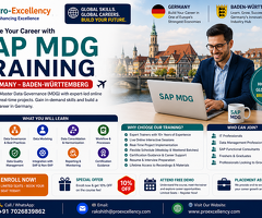 SAP MDG Online Training for Freshers and Professionals in Baden-Württemberg