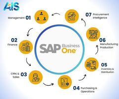 sap business one partners in singapore