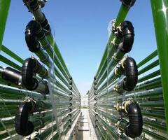 Algae Biorefinery Systems for Sustainable Multi Product Processing - 2