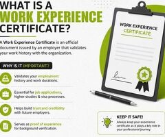 Prepare Your Employment Records for Background Verification