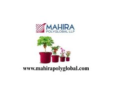 Planter Bags Bring Efficient Growing To Every Garden Space