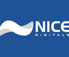 White Label Facebook Ads Services - Nice Digitals