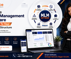 Flexible MLM Management Software Adapting To Your Business Structure
