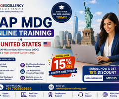 Advance Your Career with SAP MDG Online Training in the United States