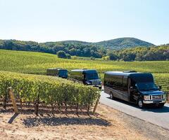 Book Napa Valley Party Bus Rentals for Wine Tours and Group Events