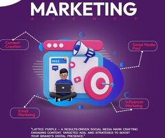 Best Social Media Optimization Agency in India | Lattice Purple - 4